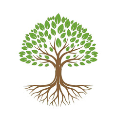 Illustration of a Tree with Roots and Leaves