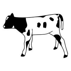 spotted calf outline