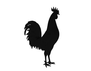 Rooster Silhouette Vector Illustration Isolated on White Background