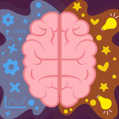 Vector image of the hemispheres of the brain. Simple stylized drawing.
