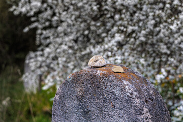 Fragments of an old Jewish cemetery near the village of Trstin, Slovakia