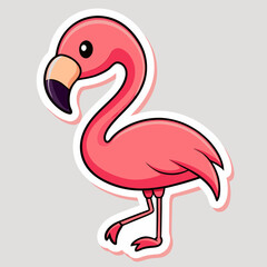 flamingo vector illustration