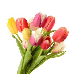 A vibrant bouquet featuring a mix of tulips in shades of red, yellow, pink, and white against black background on transparent background