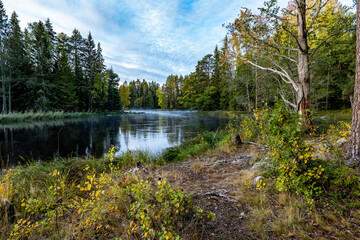 Swedish Salmon river landscape. Farnebofjarden national park in north of Sweden.