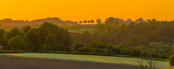 Green foliage of trees, reed and a rolling landscape at a bright sunset in springtime, Voeren,...