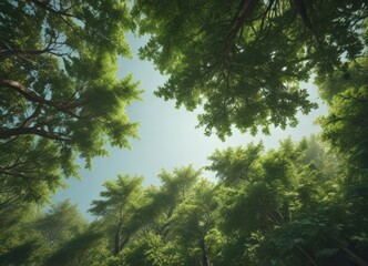 Blurred green forest canopy, indistinct shapes, fuzzy texture, nature backdrop,  calming,  environment