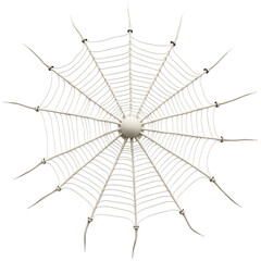 Obraz premium Spiderweb design element isolated on black background for halloween