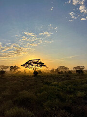 Sunset in Kenya 