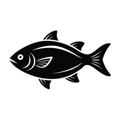 fishmonger element isolated fresh fish on counter on white background  