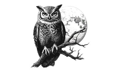 Engraved Owl, Full Moon, Hand-drawn Bird Design, Vintage Wildlife Illustration, Rustic Night Animal Art, Black Sketch Effect, Detailed Nocturnal Wildlife Print