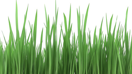 Lush Green Grass Blades on PNG Transparent Background for Spring Design