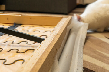 Sofa repair at home. Furniture reupholstery and repair.