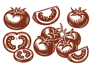 tomatoes and slices sketch style vector illustration set