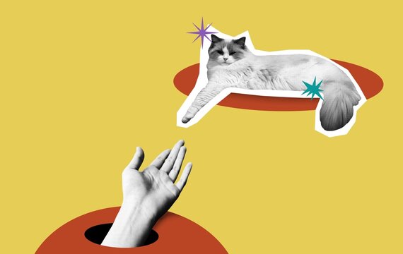 Collage art of a hand touching a cat. Modern and creative design with surreal style. Perfect for use in posters, editorial design, social media, digital art, and contemporary art projects