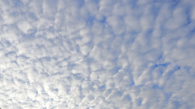 Nuvole  altocumulo, alltocumulus ac nube a forma d fiocchi  globulari compatti