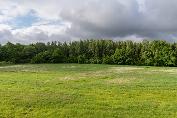 Obraz premium Piękna okolica niedaleko rzeki Wisły w Kaniowie, wały przeciwpowodziowe, w wiosenny poranek.