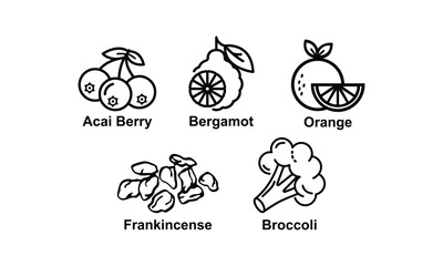 Icons of Superfoods and Botanicals – Acai, Bergamot, Orange, Frankincense, Broccoli
