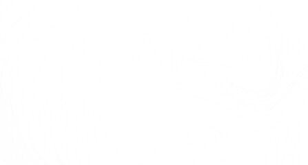 Clean, simple white background. Perfect for websites, presentations, and designs.