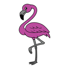 pink flamingo vector