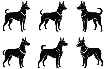  Austrulian kelpie vector