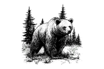 Black Sketch Bear in Nature, Vintage Wildlife Wall Art, Rustic Engraving Style, Hand-drawn Forest Scene, Antique Animal Drawing, woodland decor print, country cabin artwork