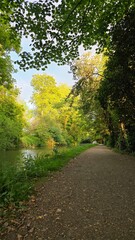 Fototapeta premium Serene Riverside Pathway