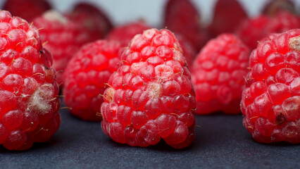 mold and fungus on raspberries close-up, berries, health hazard, expired products, detailing