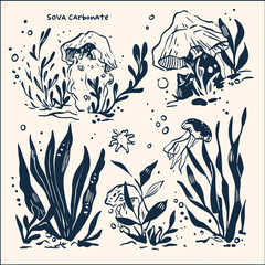 Fototapeta premium Elegant Underwater Illustrations: Dive into a world of delicate sea life, featuring exquisite illustrations of jellyfish, sea plants, and other captivating aquatic elements.