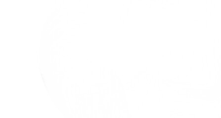 Clean, simple white background. Perfect for presentations, websites, and designs.