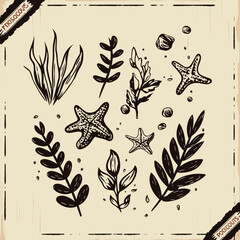 Oceanic Sketches: Artistic marine elements elegantly arranged in a visually appealing composition. Hand-drawn seaweed, starfish, and aquatic plants evoke the mysteries of the deep.