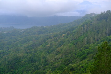 Fototapeta premium Green Forested Hills Covered in Misty Clouds with a Mystical Atmosphere