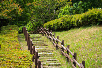 Wooden Stairway Ascending a Green Hillside