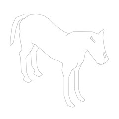A horse is standing on a white background. The horse is looking down. The horse is not in motion