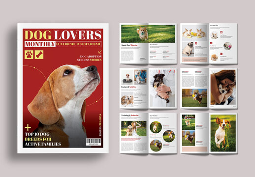 Pet Magazine Layout