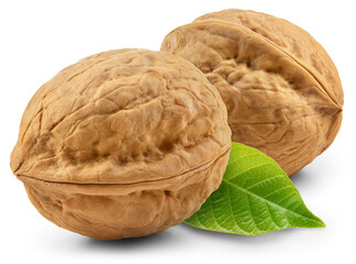 Walnut isolated png. Two unpeeled walnuts with leaves on transparent background. Perfect retouched walnuts with leaf no background. Nuts with transparent shadow. Full depth of field.