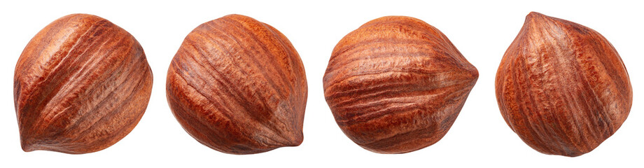 Hazelnut isolated png. Peeled hazelnut on white or transparent background. Perfect retouched open...
