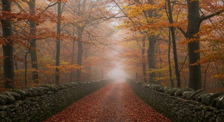 Autumnal scene of a road with fallen leaves, flanked by a stone wall, leading into a foggy wood