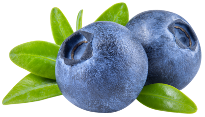 Blueberry isolated png. Blueberry with leaves on white or transparent background. Perfect retouched two blueberries with leaf no background. Png blueberry. Full depth of field.