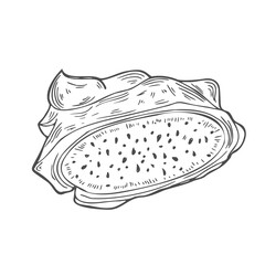 Pitahaya slice sketch. Dragon Fruit hand drawn doodle drawing. Tropical food in ink sketch style isolated. Vector manual illustration.