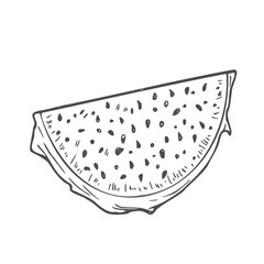 Dragon fruit slices in vector sketch. A piece of pitahaya