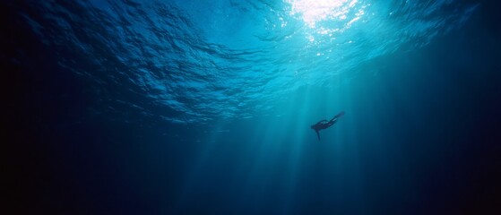 Naklejka premium A lone diver glides through the deep blue ocean, surrounded by rays of sunlight piercing the water, creating an ethereal, tranquil atmosphere.