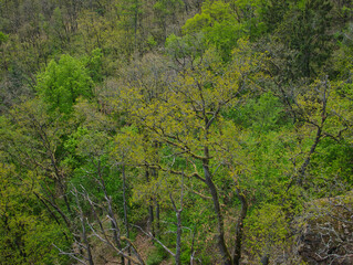 Countryside landscape at spring daylight