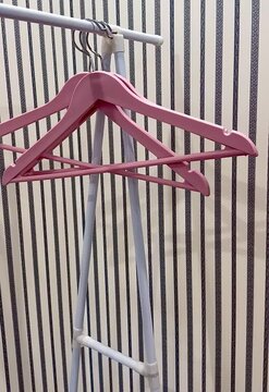 Pastel Pink Plastic Hangers on Clothing Rack