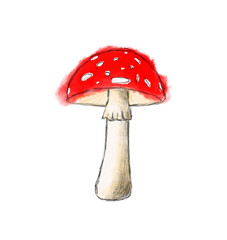 Hand drawn watercolor red mushroom. 