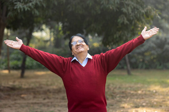 Indian senior man spreading hands at park. 
Concept of successful, confident healthy senior and wellness, elder enjoying after after retirement