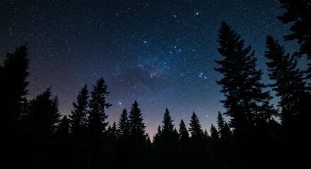 Fototapeta premium Majestic night sky ablaze with stars, the Milky Way visible above a dark silhouette of pine trees