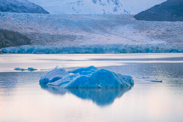 Grey Lake. Grey Glacier. Torres del Paine. Patagonia, Chile. Icebergs.