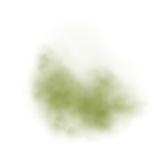 Realistic green smoke or haze on a transparent background. Magic fog, vapor. Vector illustration.	
