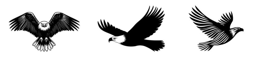 Black and white paint are used to draw a modern eagle bird illustration