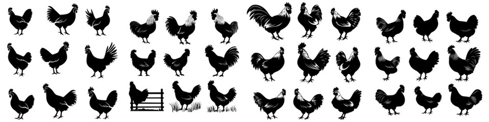 The modern silhouette collection of the rooster symbolizes the Chinese New Year